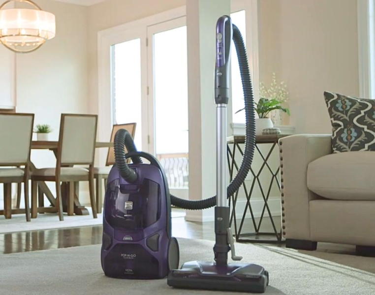 The 5 Best Vacuums For Pet Hair, Based On A Dog Owner’s Testing