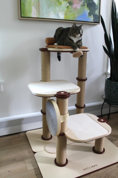 The 8 Best Cat Trees, According To Rigorous Feline Testing