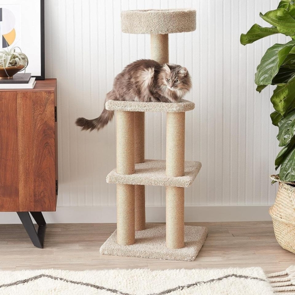 The 8 Best Cat Trees, According To Rigorous Feline Testing