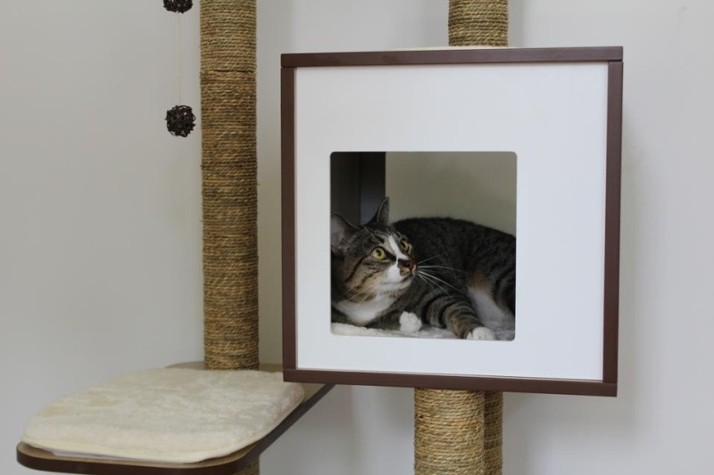 The 8 Best Cat Trees, According To Rigorous Feline Testing