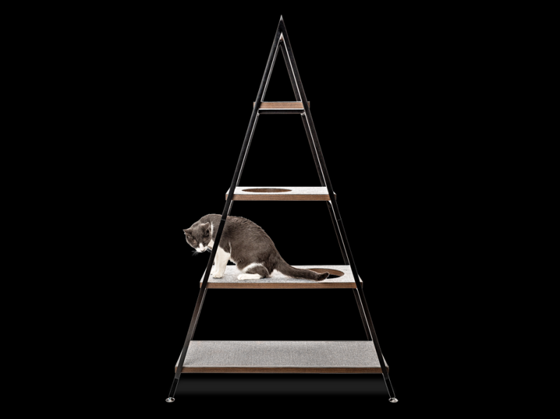 The 8 Best Cat Trees, According To Rigorous Feline Testing