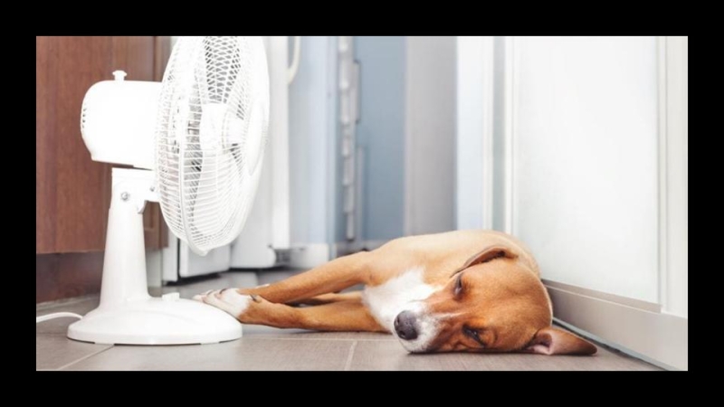 11 Expert-Approved Tips To Keep Your House Cool In The Summer